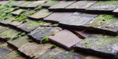 Longville In The Dale roof repair costs